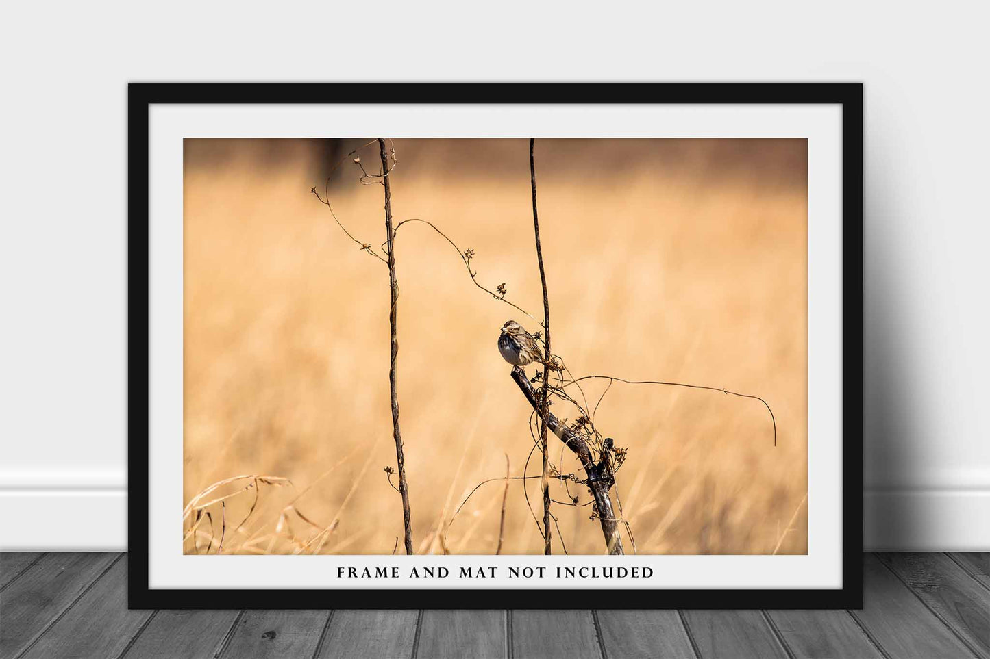 Bird Photography Print | Prairie Picture | Winter Wall Art | Oklahoma Photo | Nature Decor | Not Framed