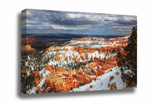 Western landscape gallery wrapped canvas wall art of hoodoos covered in snow on a late winter day in Bryce Canyon National Park, Utah by Sean Ramsey of Southern Plains Photography.
