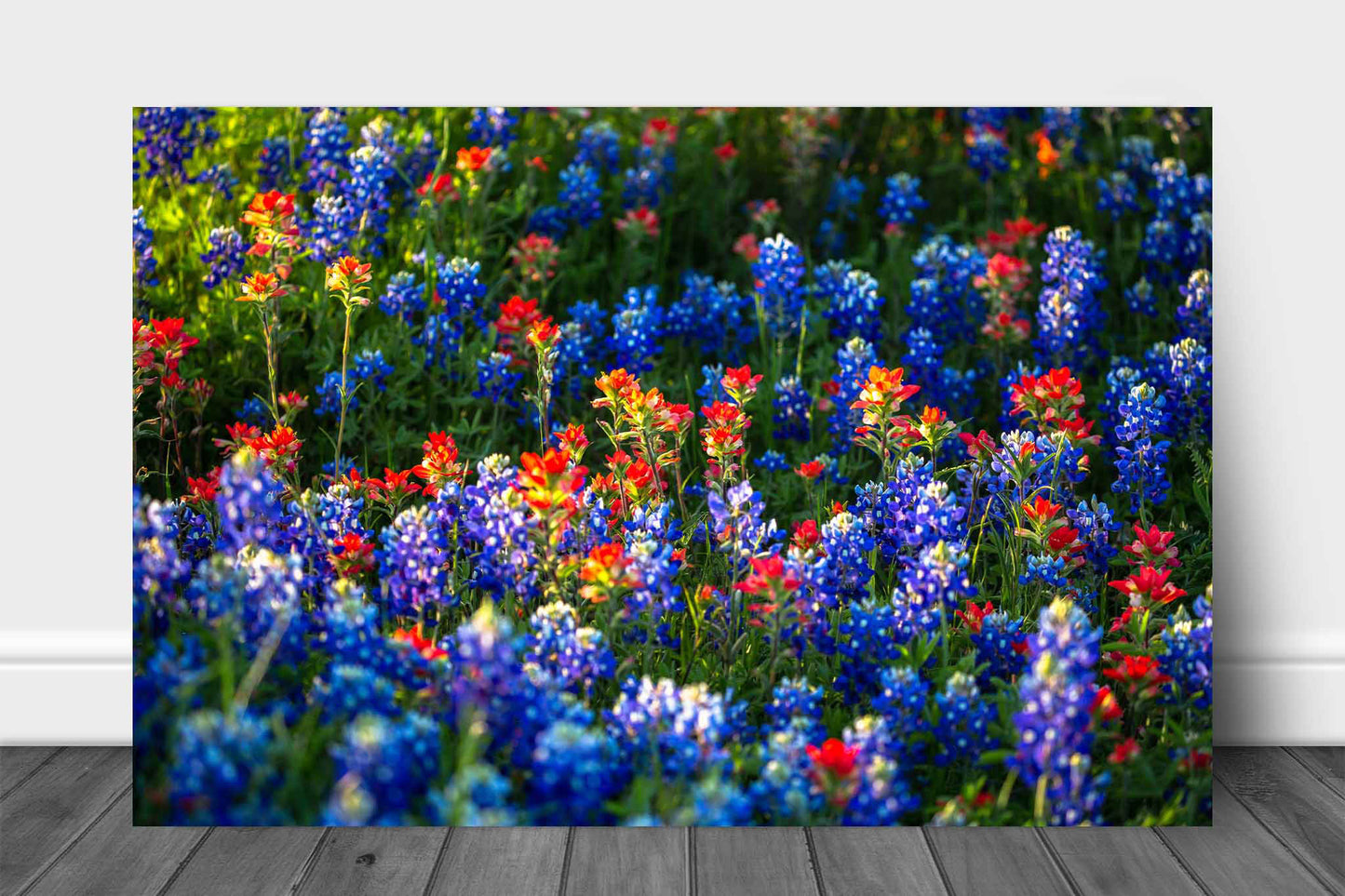 Floral metal print on aluminum of bluebonnets and Indian Paintbrush wildflowers on a spring day in Texas by Sean Ramsey of Southern Plains Photography.