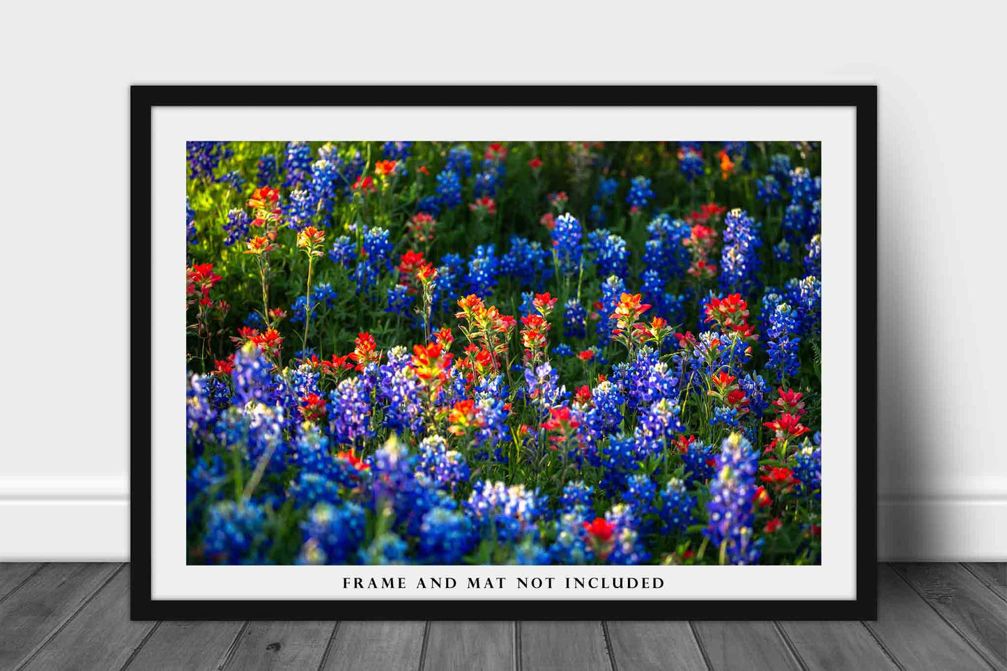 Wildflower Photography Print | Bluebonnets and Indian Paintbrush Picture | Texas Wall Art | Flower Photo | Floral Decor | Not Framed