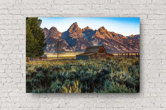 Rocky Mountain metal print on aluminum of Grand Teton overlooking Moulton Barn on an autumn morning in Grand Teton National Park, Wyoming by Sean Ramsey of Southern Plains Photography.