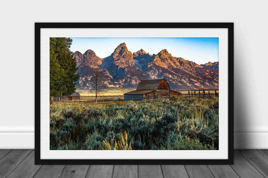 Framed Rocky Mountain print of Grand Teton overlooking Moulton Barn on an autumn morning in Grand Teton National Park, Wyoming by Sean Ramsey of Southern Plains Photography.