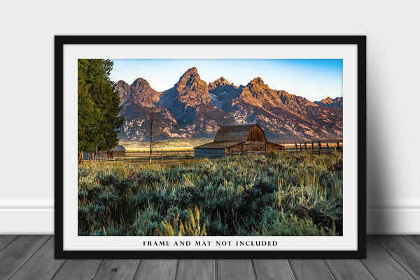Grand Teton Photography Print - Fine Art Picture of Moulton Barn Nestled in Sagebrush Early Morning Along Mormon Row in Western Wyoming