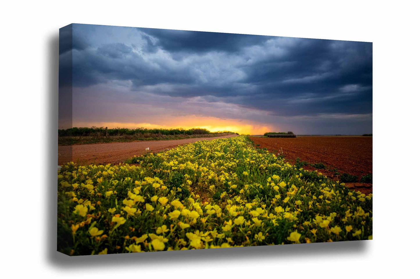 Country gallery wrapped canvas wall art of yellow wildflowers leading to the horizon at sunset on a stormy spring evening in Texas by Sean Ramsey of Southern Plains Photography.