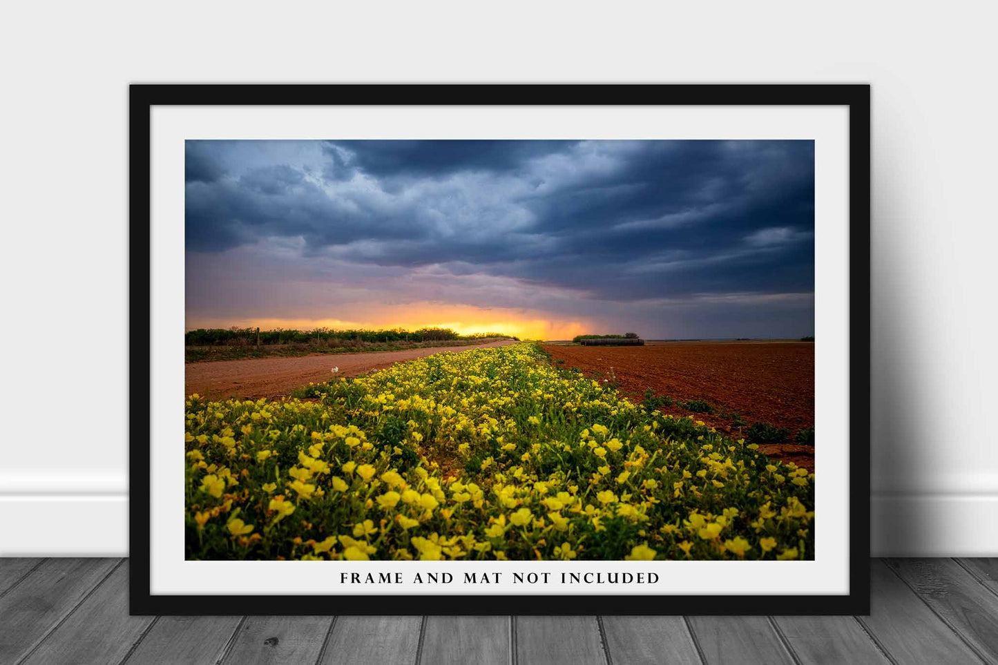 Floral Photography Print, Wall Art Photo of Yellow Wildflowers Leading Into Warm Sunset on a Stormy Evening in Texas Flower Picture Decor