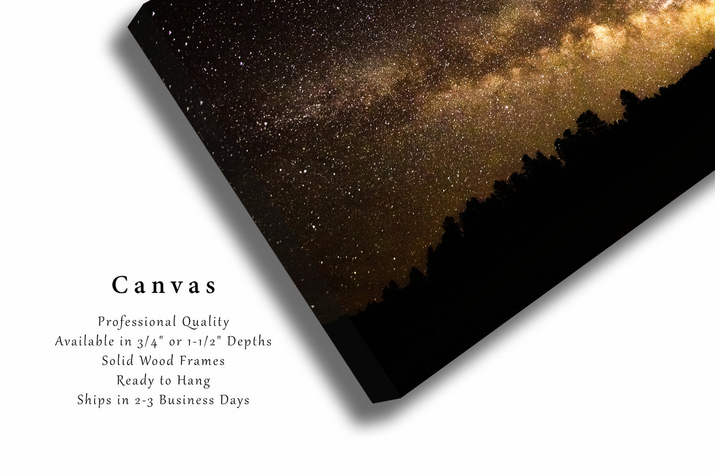 Celestial Canvas Wall Art - Gallery Wrap of Milky Way Rising Above Tree Silhouettes in Rocky Mountains of Colorado - Night Sky Photo Decor