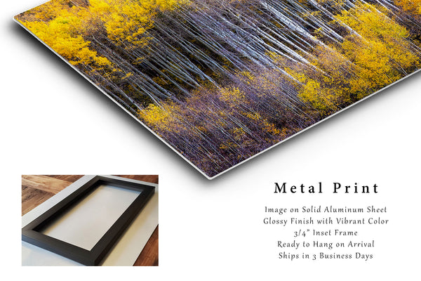 Metal Print | Abstract Aspen Trees Photo | Colorado Artwork | Rocky Mountain Wall Art | Western Photography | Nature Decor