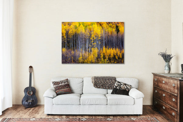 Metal Print | Abstract Aspen Trees Photo | Colorado Artwork | Rocky Mountain Wall Art | Western Photography | Nature Decor