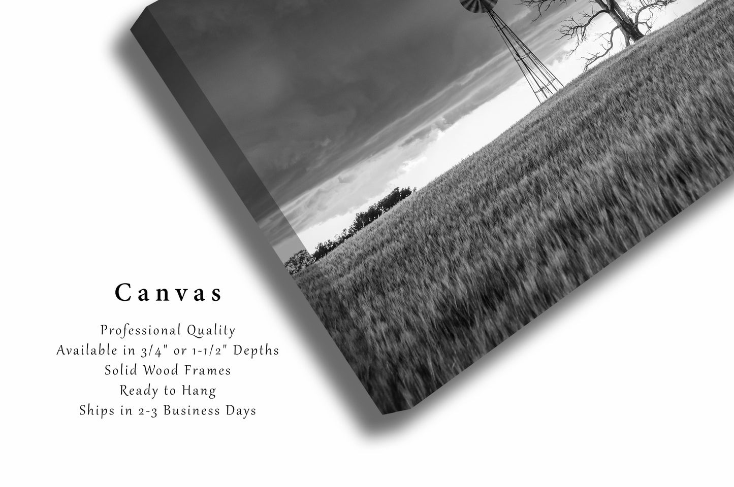 Canvas Wall Art - Black and White Gallery Wrap of Windmill and Tree in Wheat Field in Oklahoma - Country Photography Artwork Photo Decor