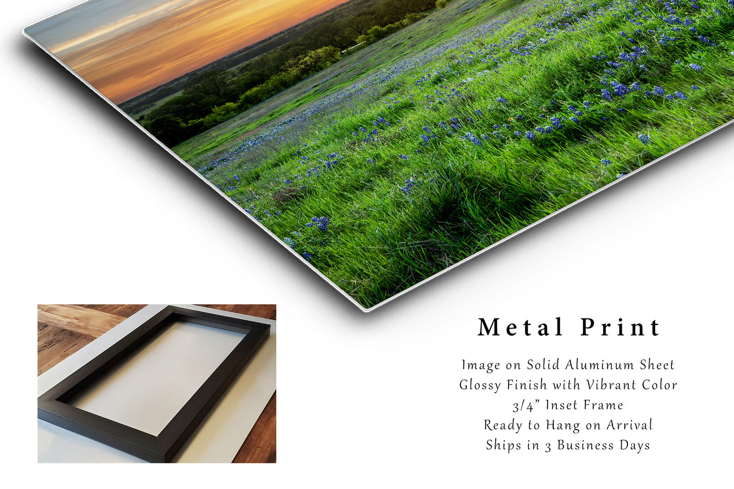 Bluebonnets Metal Print | Lone Tree Photography | Sunset Wall Art | Texas Photo | Nature Decor | Ready to Hang