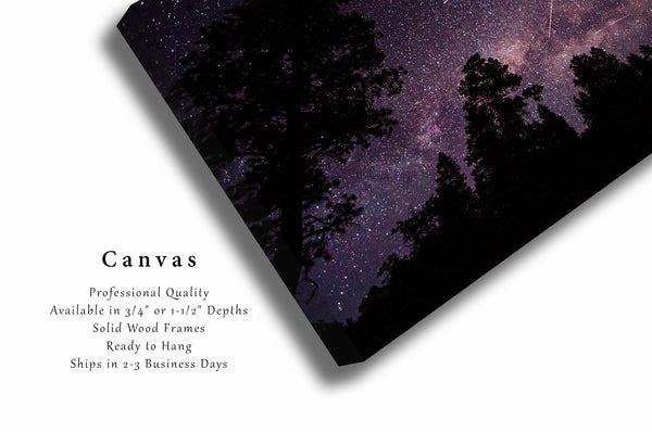 Canvas Wall Art - Gallery Wrap of Shooting Stars, Planes and Satellites in Colorado Night Sky - Celestial Photography Photo Artwork Decor