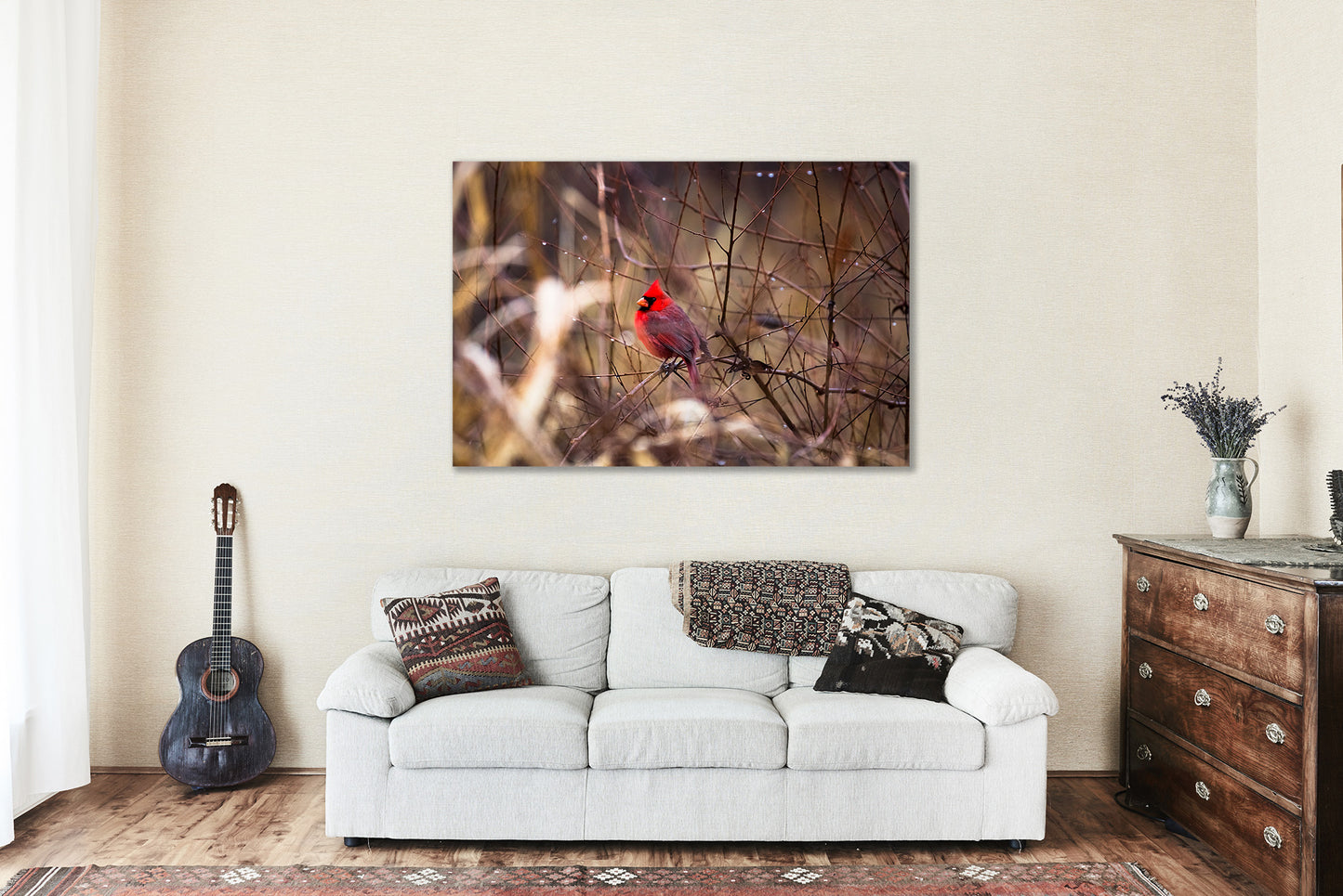 Metal Print Wall Art - Picture of Red Cardinal on Branch Surrounded by Raindrops on Winter Day in Oklahoma - Bird Photo Artwork Decor