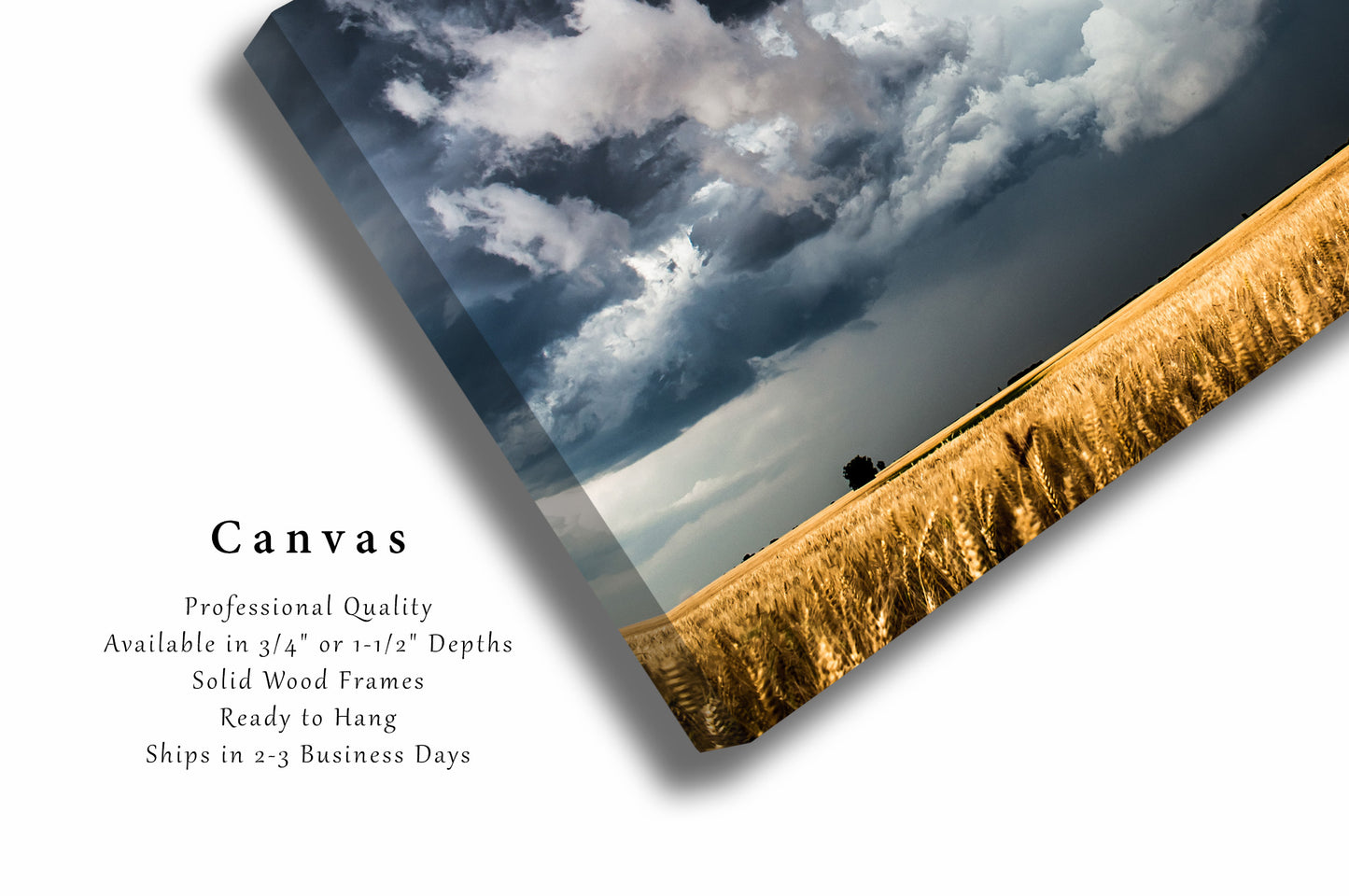 Country Canvas Wall Art (Ready to Hang) Gallery Wrap of Storm Clouds Gathering Over Golden Wheat Field in Kansas Western Photography Farmhouse Decor