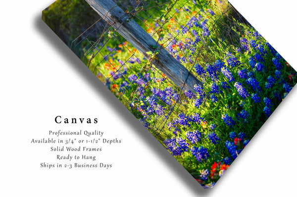 Canvas Wall Art - Gallery Wrap of Fence Post Surrounded by Bluebonnets on Spring Day in Texas - Country Photography Artwork Photo Decor