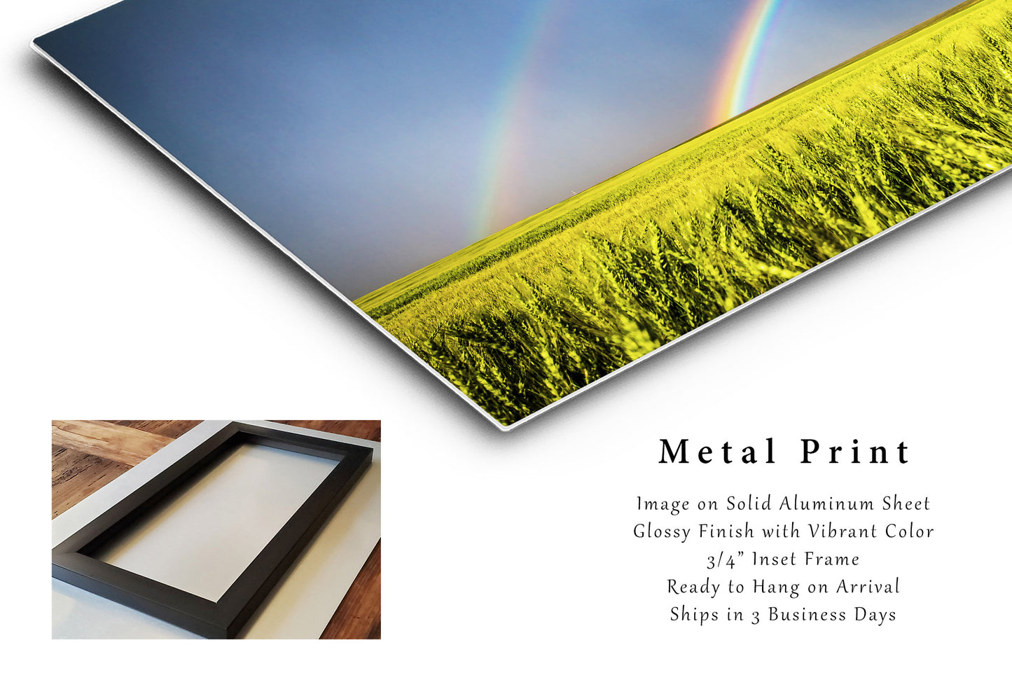 Country Metal Print (Ready to Hang) Photo on Aluminum of Double Rainbow Over Wheat Field on Stormy Spring Day in Kansas Great Plains Wall Art Nature Decor