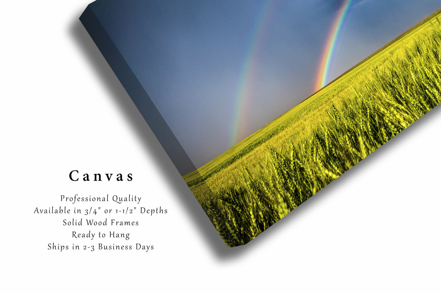 Country Canvas Wall Art (Ready to Hang) Gallery Wrap of Double Rainbow Over Wheat Field on Stormy Day in Kansas Great Plains Photography Nature Decor