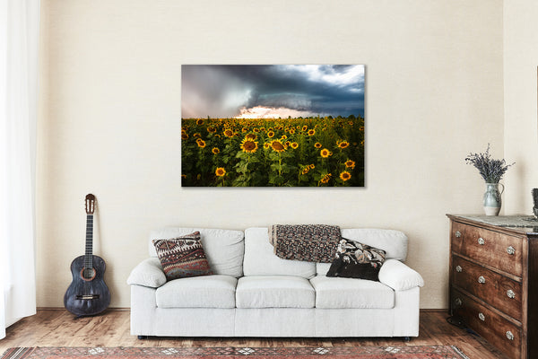Canvas Wall Art - Gallery Wrap of Sunflower Field and Storm on Autumn Day in Kansas - Country Photography Farm Photo Artwork Decor