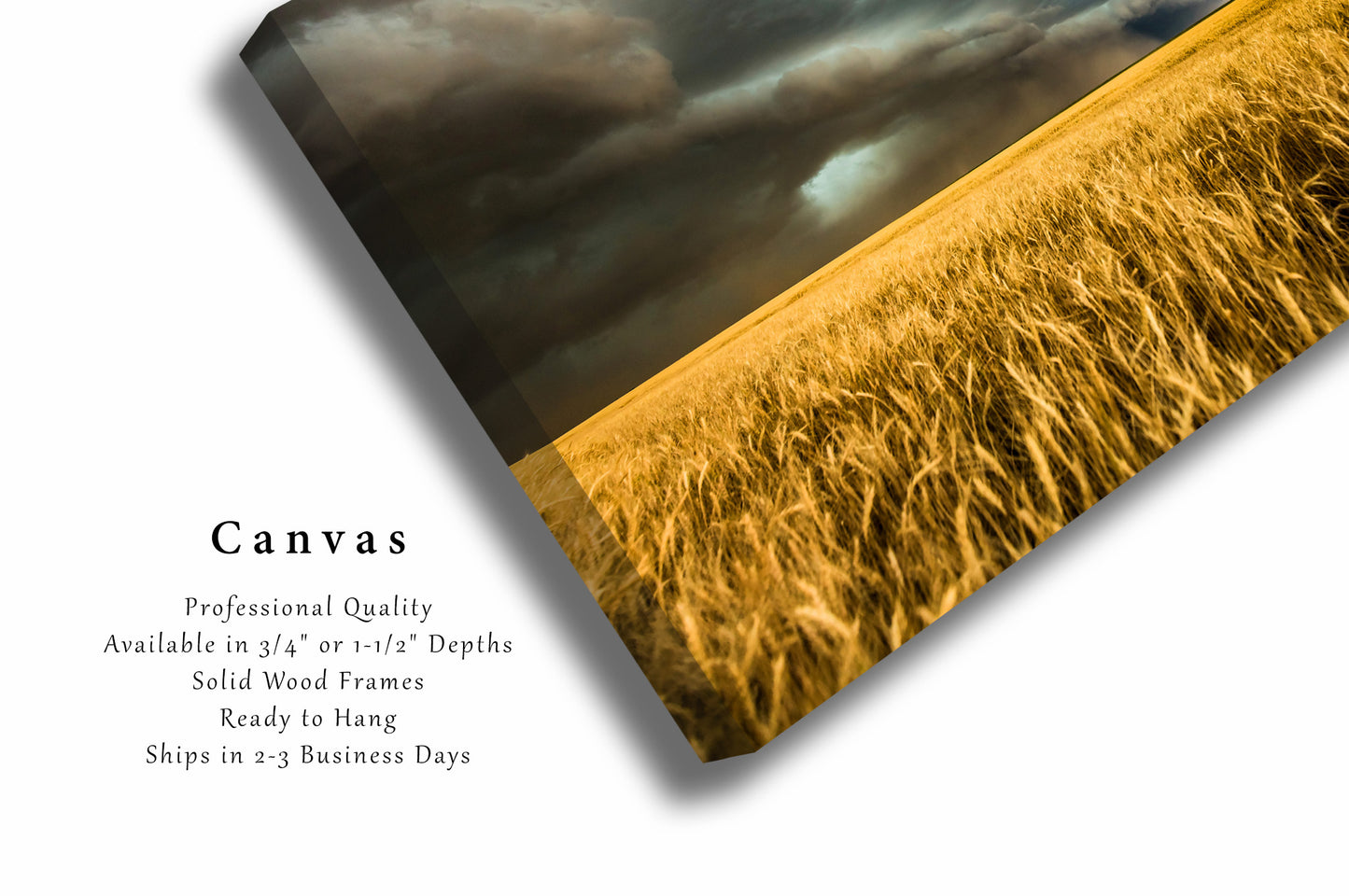 Storm Canvas Wall Art - Gallery Wrap of Thunderstorm Advancing Over Wheat Field in Colorado - Weather Photography Plains Artwork Decor