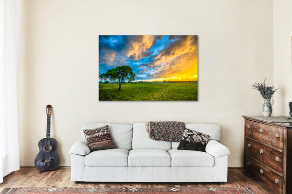 Storm Canvas Wall Art - Gallery Wrap of Colorful Stormy Sky Over Lone Tree at Sunset in Texas - Nature Photography Landscape Artwork Decor