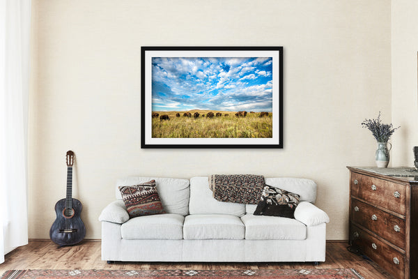 Buffalo Herd on Tallgrass Prairie Framed Print | Bison Wall Art | Great Plains Picture | Oklahoma Photo | Western Decor
