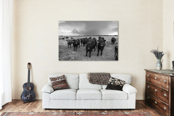 Canvas Wall Art - Black and White Gallery Wrap of Angus Cattle Gathering as Storm Brews in Kansas - Farm Photography Artwork Photo Decor