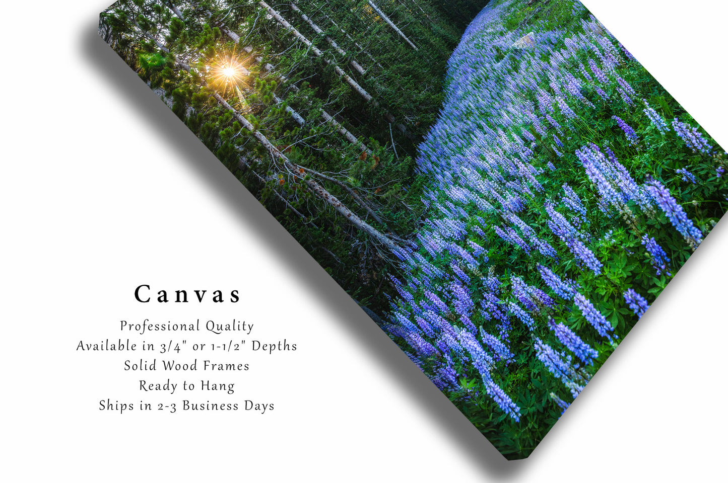 Canvas Wall Art | Purple Lupine Picture | Vertical Gallery Wrap | Montana Photography | Rocky Mountain Decor