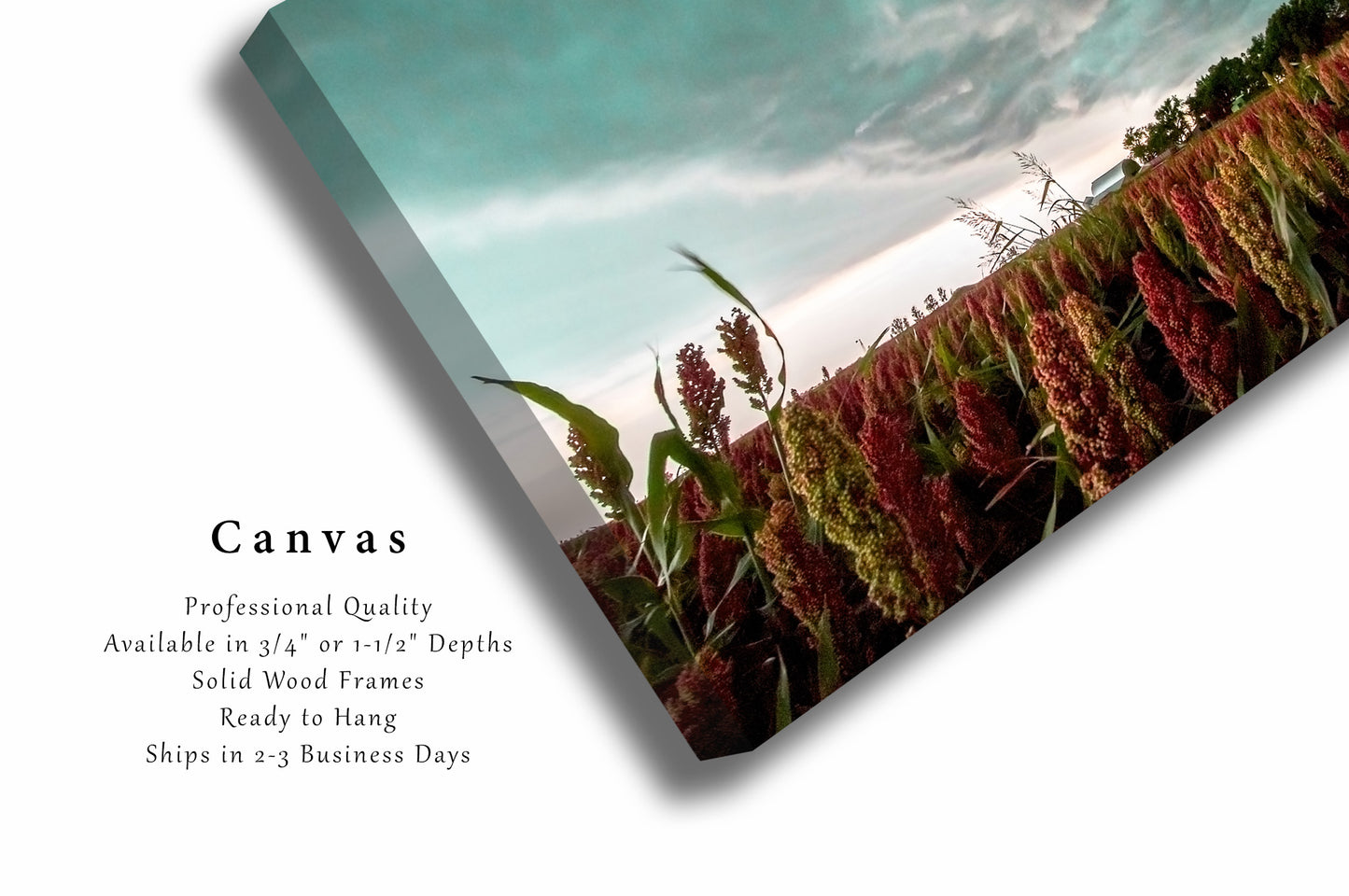 Canvas Wall Art | Maize Field Photo | Farm Gallery Wrap | Oklahoma Photography | Storm Picture | Farmhouse Decor