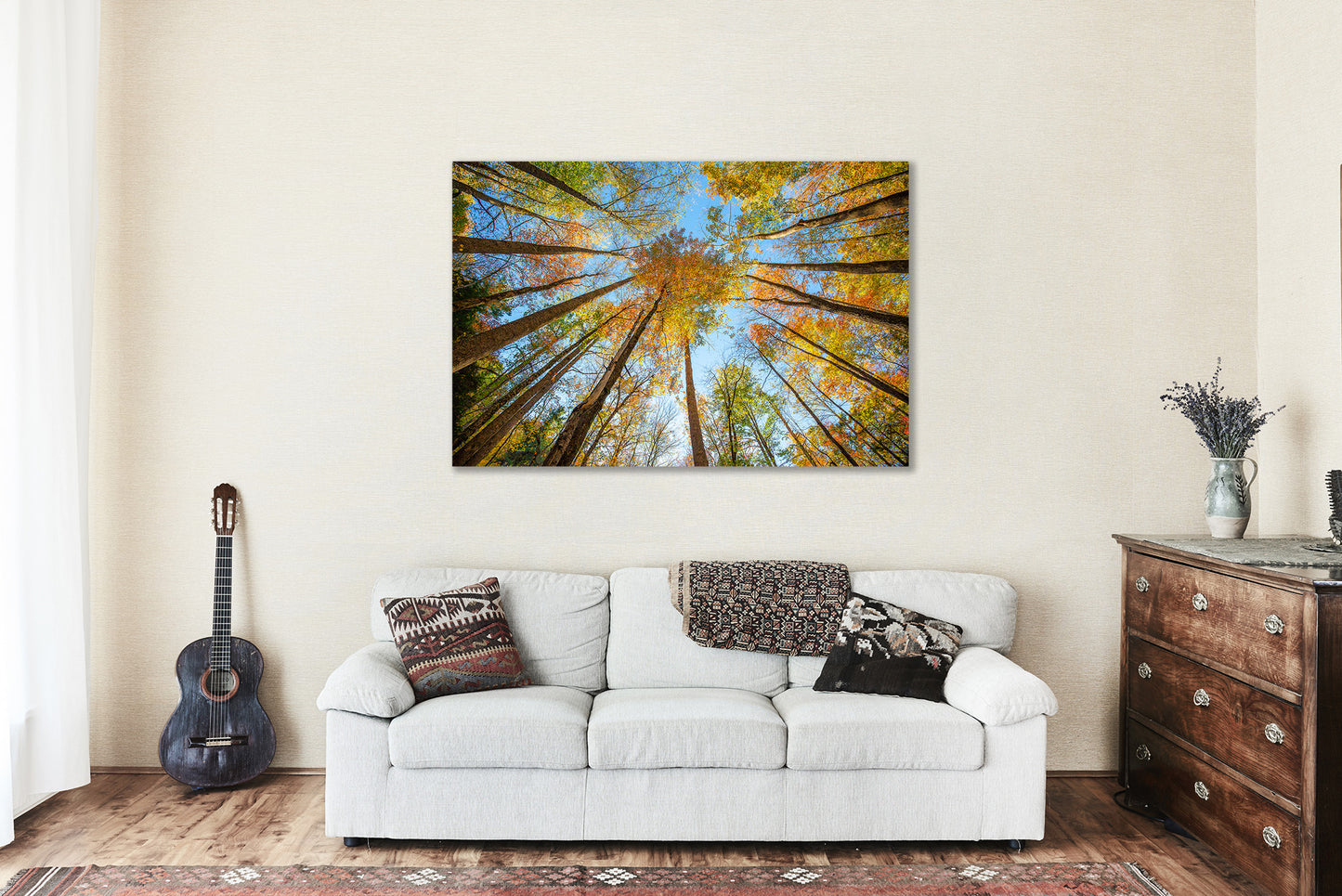 Forest Canvas Wall Art - Gallery Wrap of Looking Up in Trees on Autumn Day in Great Smoky Mountains Tennessee - Photography Artwork Decor