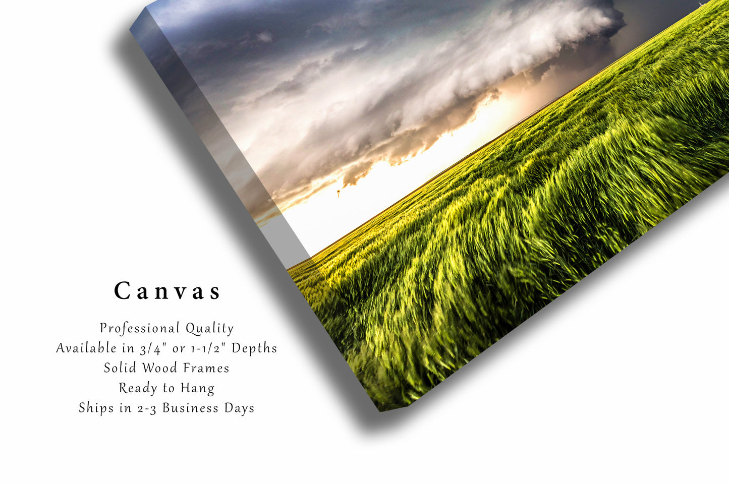 Storm Canvas Wall Art (Ready to Hang) Gallery Wrap of Supercell Thunderstorm Over Waving Wheat Field on Stormy Spring Day in Kansas Great Plains Photography Weather Decor