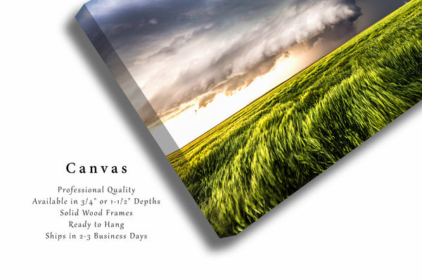 Canvas Wall Art - Gallery Wrap of Supercell Thunderstorm Over Waving Wheat in Kansas - Storm Photography Weather Photo Artwork Decor
