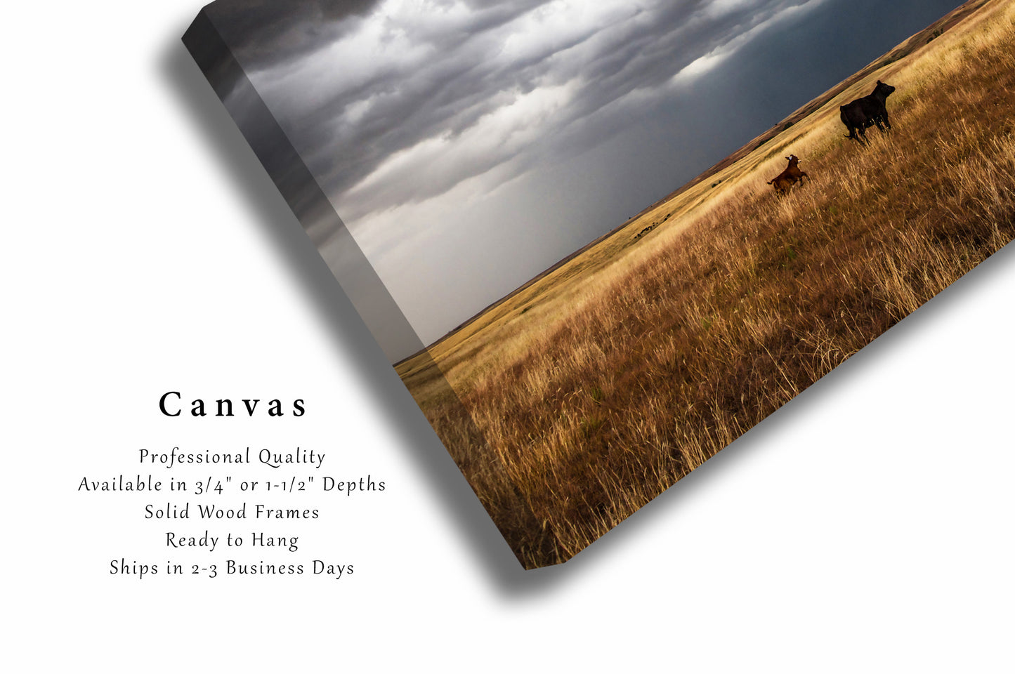 Cow and Calf Canvas | Cattle Gallery Wrap | Great Plains Photography | Oklahoma Wall Art | Western Decor | Ready to Hang