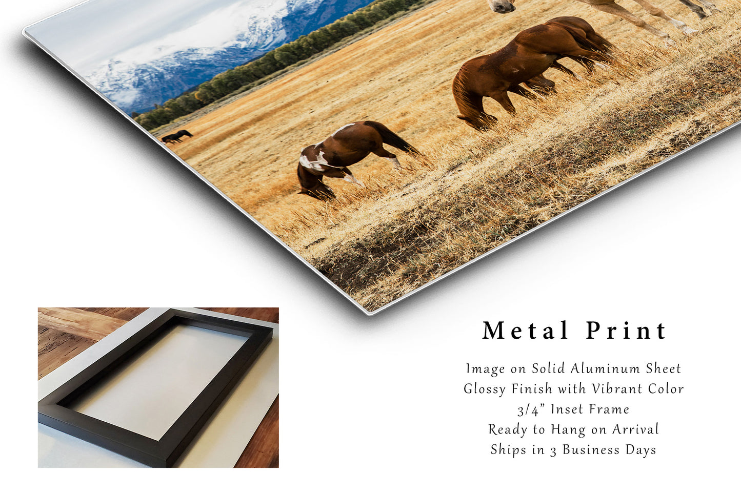 Palomino Horse Metal Print | Equine Photography | Grand Teton Wall Art | Wyoming Photo | Western Decor | Ready to Hang