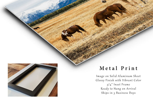 Western Print on Metal - Palomino Horse in Grand Teton National Park Wyoming - Rocky Mountain Photo Gift Artwork Decor
