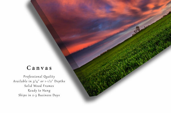 Canvas Wall Art - Gallery Wrap of Clouds Illuminated Over a Field at Sunset in Oklahoma - Country Photography Artwork Photo Decor