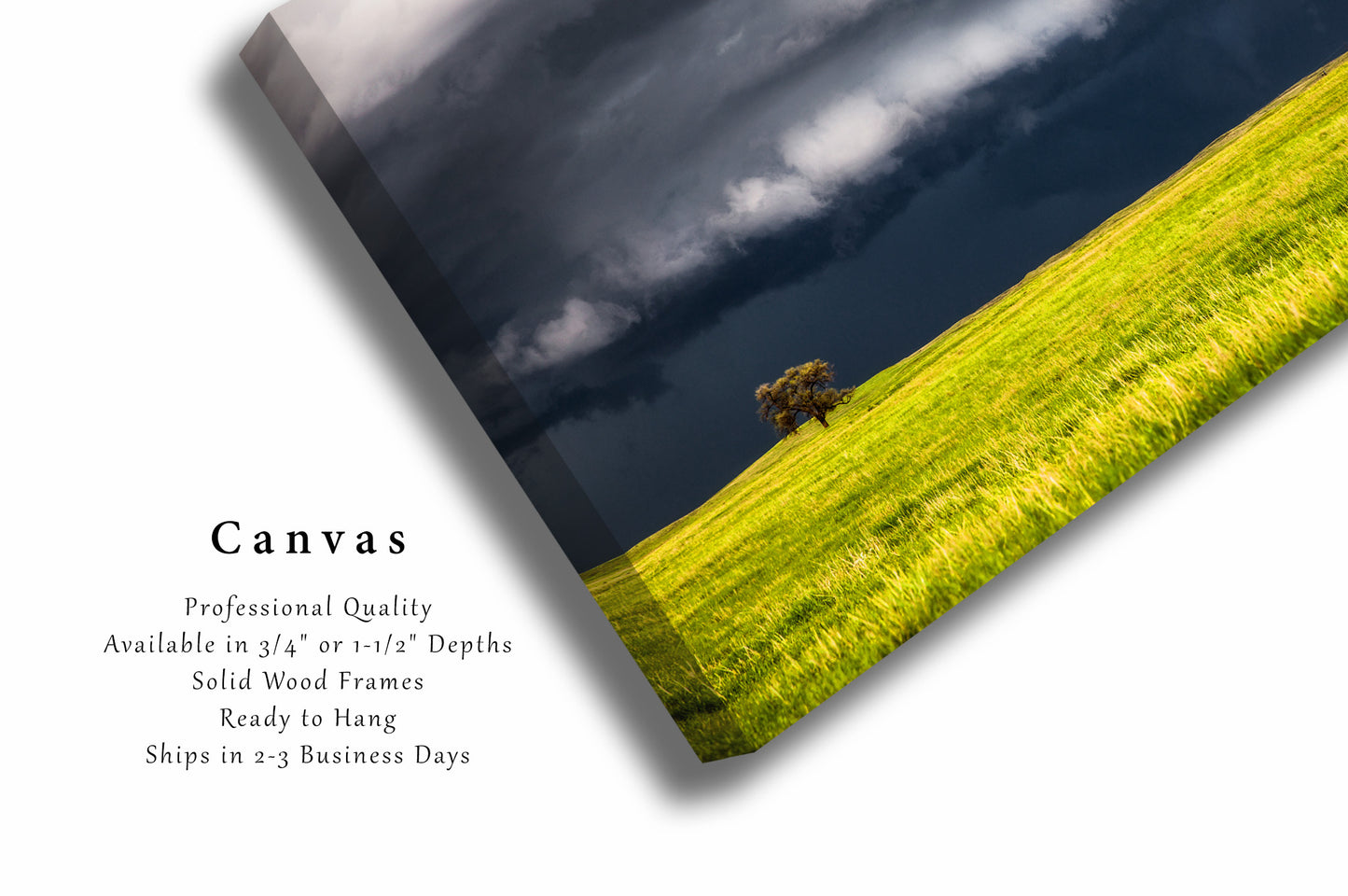 Storm Canvas | Lone Tree Gallery Wrap | Thunderstorm Photography | Nebraska Wall Art | Great Plains Decor | Ready to Hang