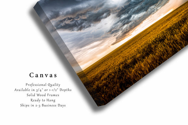 Western Canvas Wall Art - Gallery Wrap of Storm Clouds Churning Over Wheat Field on Spring Day in Colorado - Thunderstorm Artwork Decor