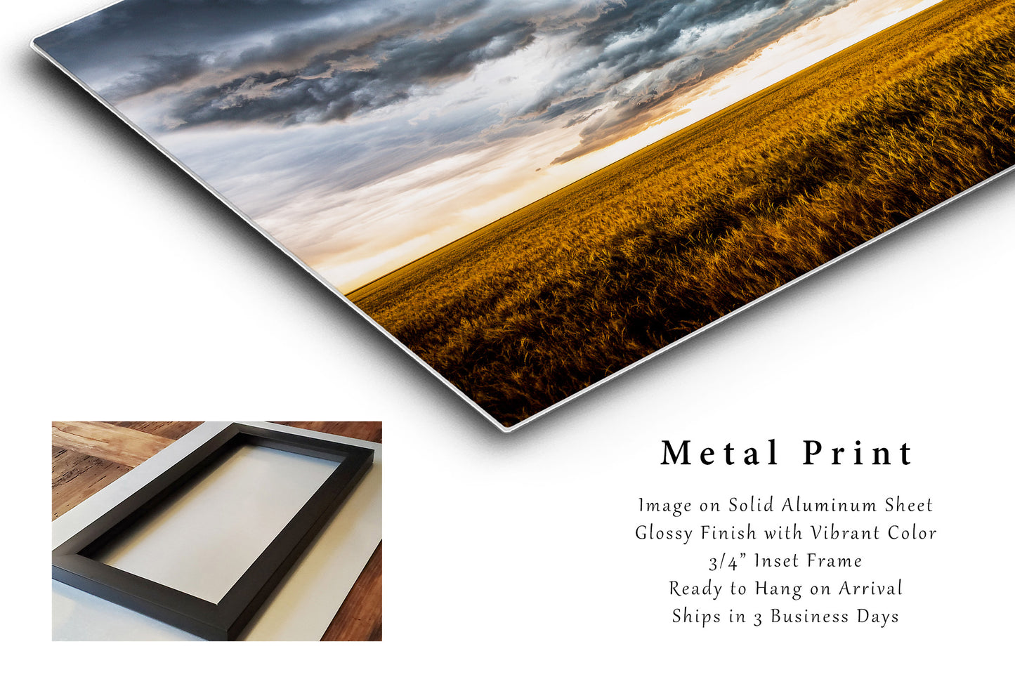 Storm Print on Metal - Aluminum Wall Art of Thunderstorm Over Amber Wheat Field on Spring Day in Colorado - Landscape Photo Artwork Decor