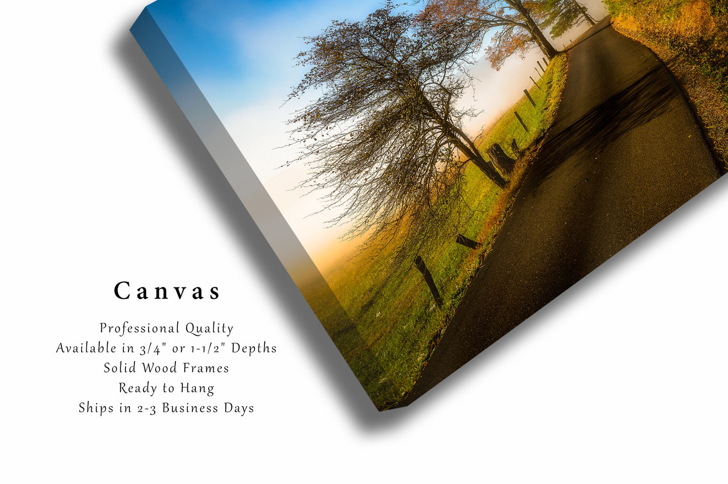 Canvas Wall Art | Cades Cove Loop Picture | Great Smoky Mountains Gallery Wrap | Tennessee Photography | Nature Decor