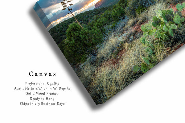 Southwest Canvas Wall Art - Gallery Wrap of Red Rocks and Desert Landscape at Sunset near Sedona Arizona - Western Photo Artwork Decor