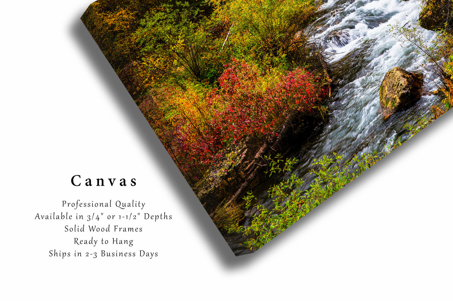 Black Hills Canvas Wall Art (Ready to Hang) Gallery Wrap of Creek and Fall Foliage in Spearfish Canyon South Dakota Western Photography Nature Decor