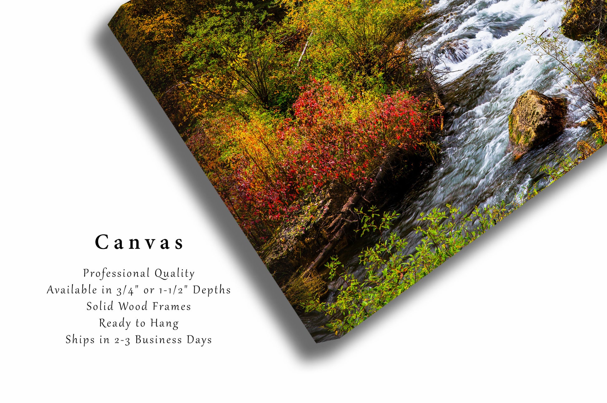 11x14 Canvas Black Wrap - Fullerton Photographics