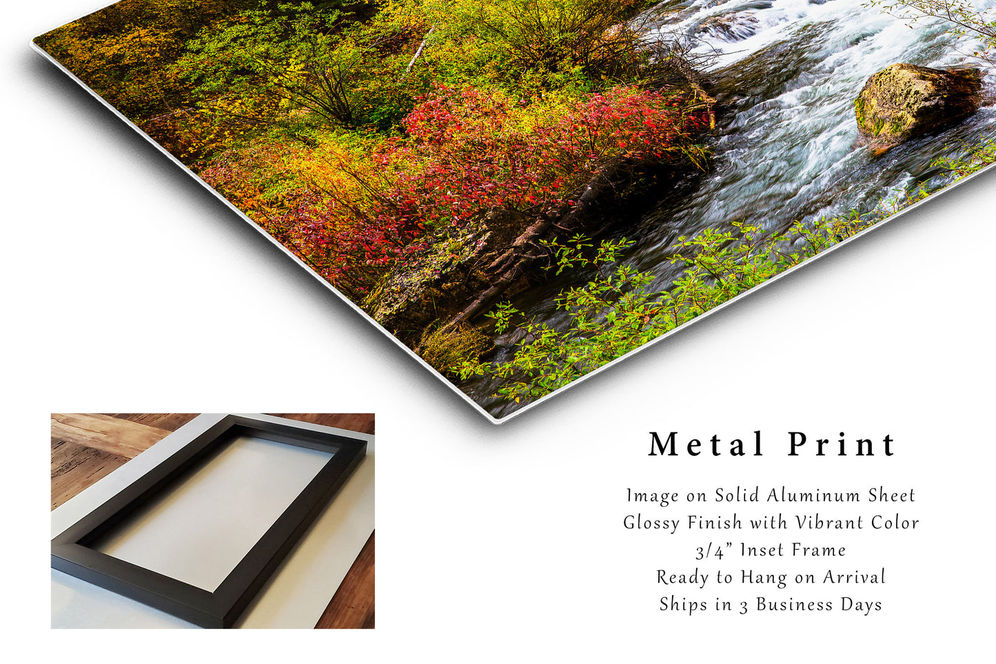 Black Hills Metal Print (Ready to Hang) Photo of Creek and Fall Foliage in Spearfish Canyon South Dakota Western Wall Art Nature Decor
