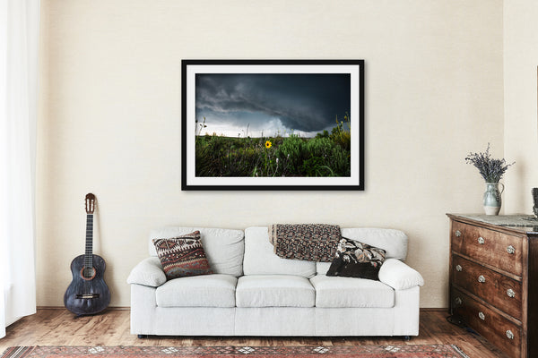Framed Photography Print - Picture of Storm Passing Behind Wild Sunflower on Spring Day in Texas Thunderstorm Wall Art Nature Decor