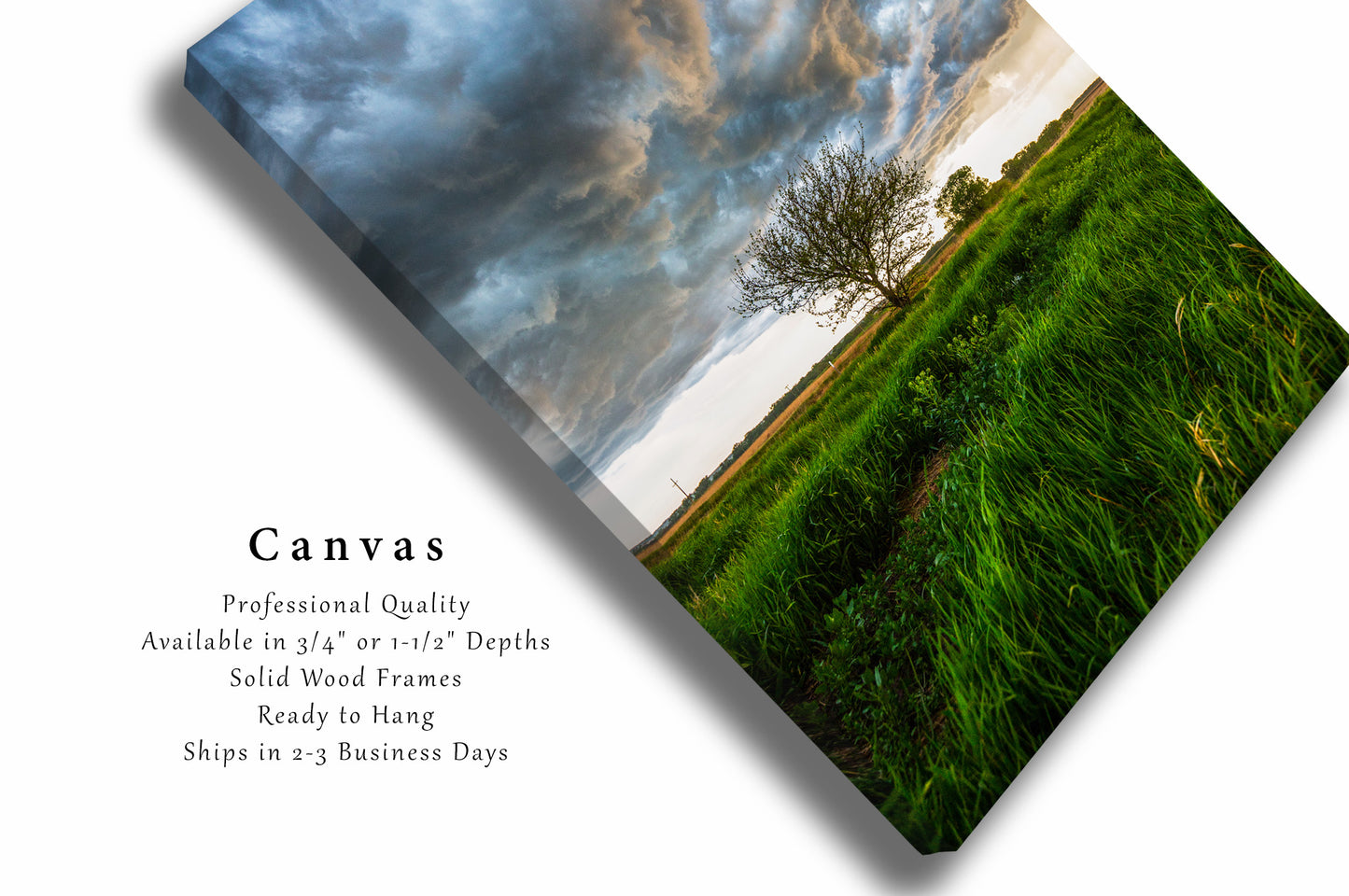 Great Plains Canvas | Stormy Sky Over Tree Gallery Wrap | Kansas Photography | Vertical Thunderstorm Wall Art | Nature Decor | Ready to Hang