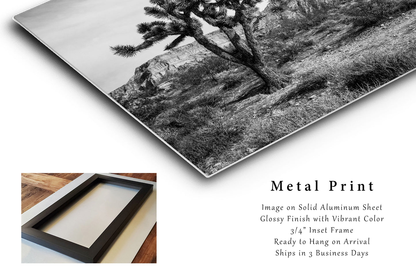 Joshua Tree Metal Print | Desert Photography | Black and White Wall Art | Arizona Photo | Southwestern Decor | Ready to Hang
