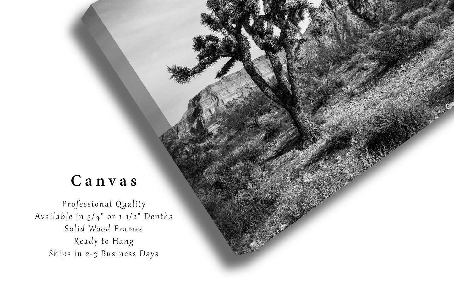 Desert Canvas Wall Art - Black and White Gallery Wrap of Joshua Tree and Mountain in Arizona - Southwest Photography Photo Artwork Decor