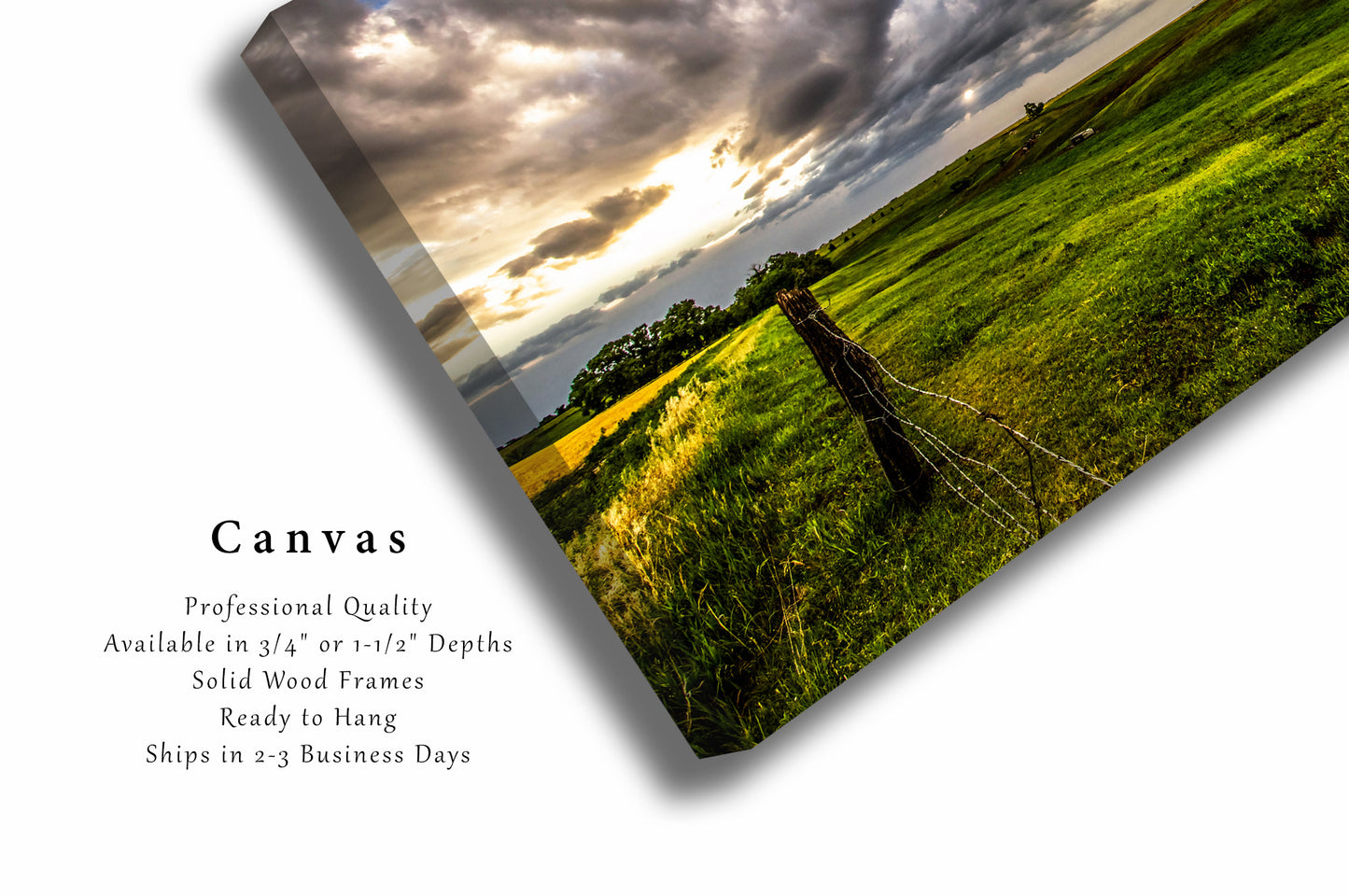 Great Plains Canvas Wall Art - Gallery Wrap of Prairie Drenched in Golden Sunlight in Nebraska - Landscape Photography Artwork Photo Decor