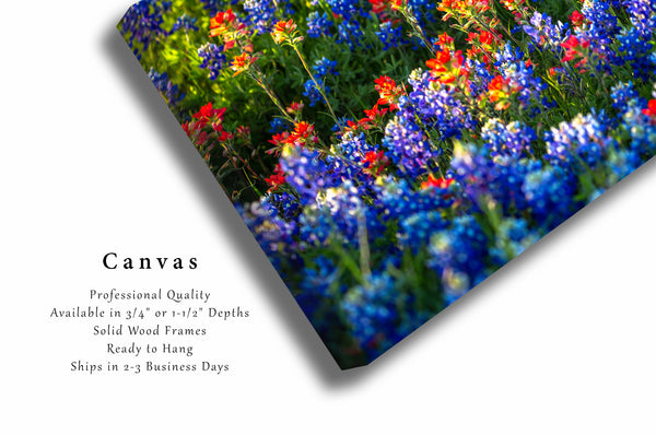 Wildflower Canvas Print | Bluebonnets and Indian Paintbrush Wall Art | Texas Photography | Flower Photo | Nature Decor