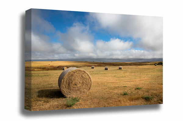 Great Plains canvas wall art of golden round hay bales dotting the prairie under clearing skies on an autumn day in South Dakota by Sean Ramsey of Southern Plains Photography.