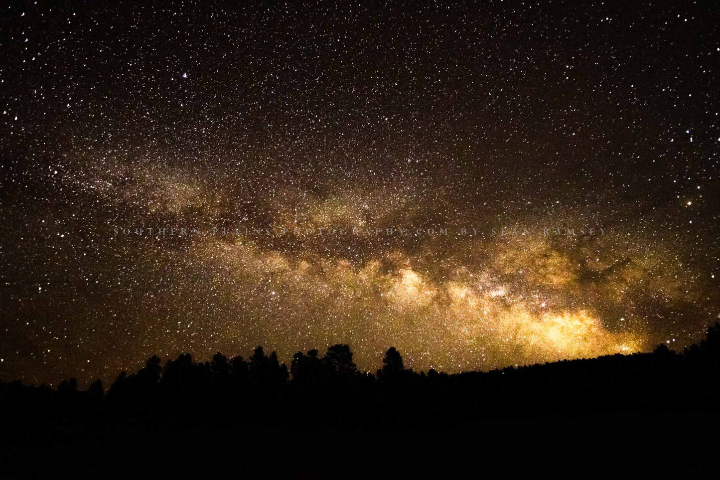 Night sky photography print of the Milky Way rising above pine tree silhouettes on a starry night in Colorado by Sean Ramsey of Southern Plains Photography.